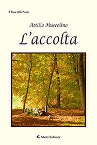 L'accolta