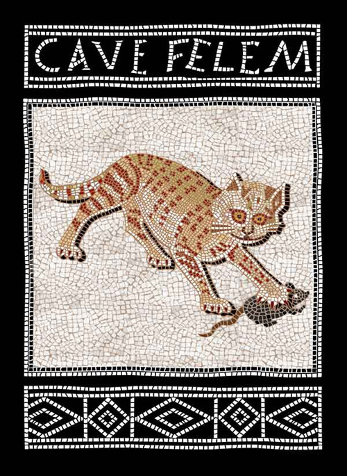 Cave felem. Ediz. italiana e inglese