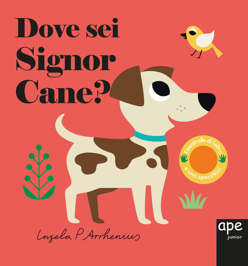 Dove sei, signor Cane?