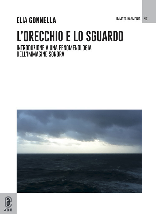L'orecchio e lo sguardo. Introduzione a una fenomenologia dell'immagine sonora
