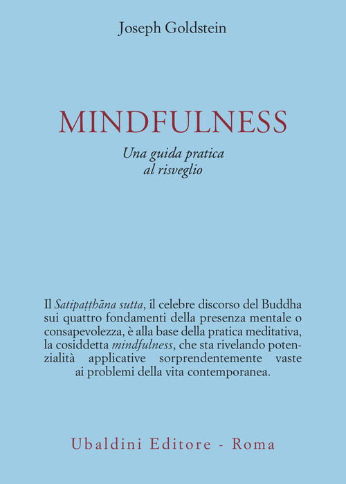 Mindfulness. Una guida pratica al risveglio