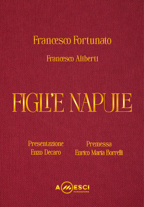 Figli'e Napule. Viaggio grafico-musicale tra realtà e spettacolo sui Figli di Partenope