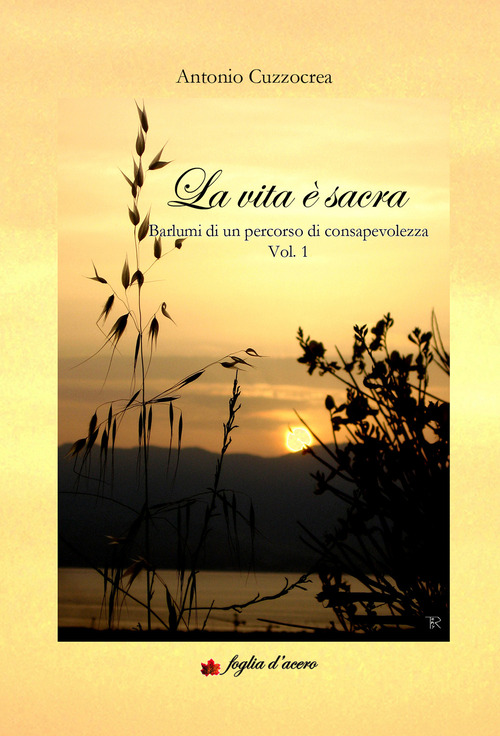 La vita è sacra. Barlumi di un percorso di consapevolezza