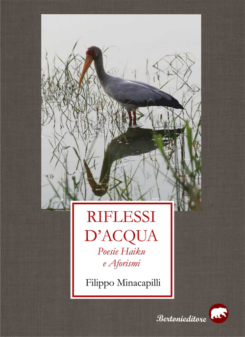 Riflessi d'acqua. Poesie haiku e aforismi