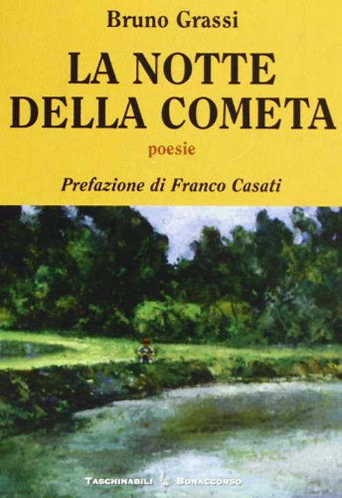La notte della cometa