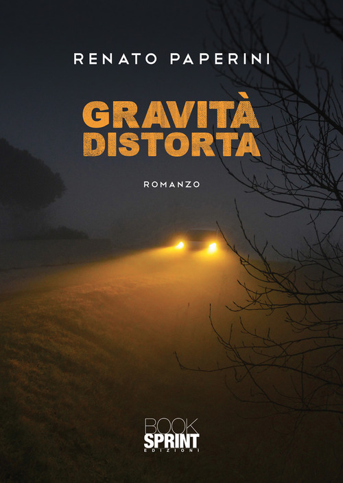 Gravità distorta