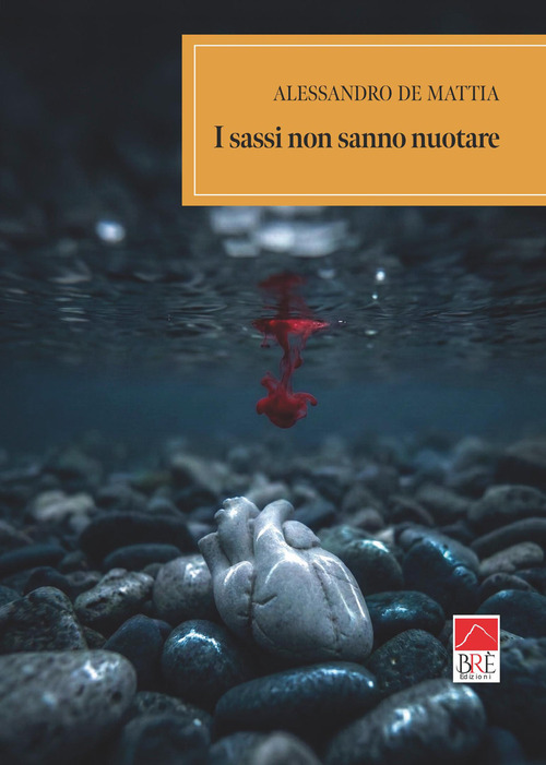 I sassi non sanno nuotare