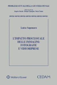 L'impatto processuale delle immagini: fotografie e videoriprese
