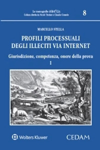 Profili processuali degli illeciti via internet