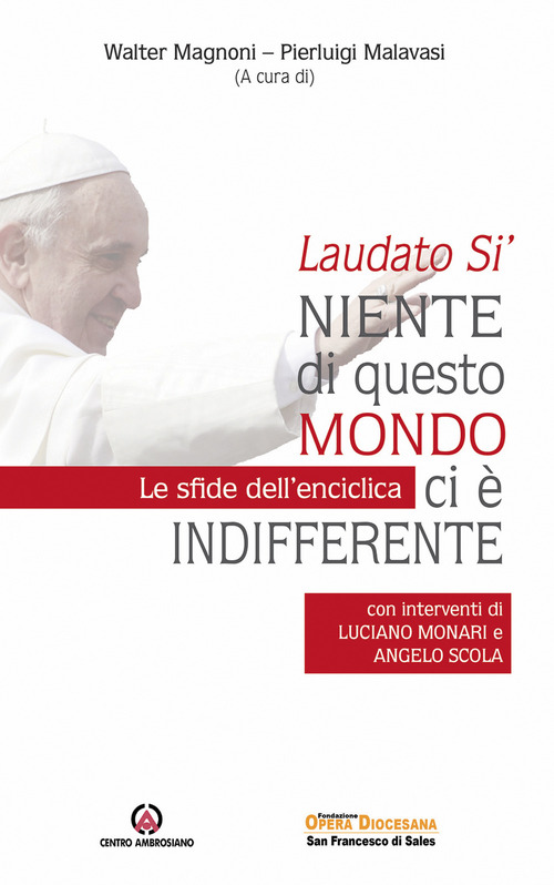 Laudato Sì. Niente di questo mondo ci è indifferente. Le sfide dell'enciclica