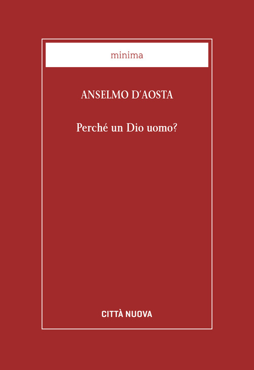 Perché un Dio uomo?