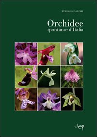 Orchidee spontanee d'Italia
