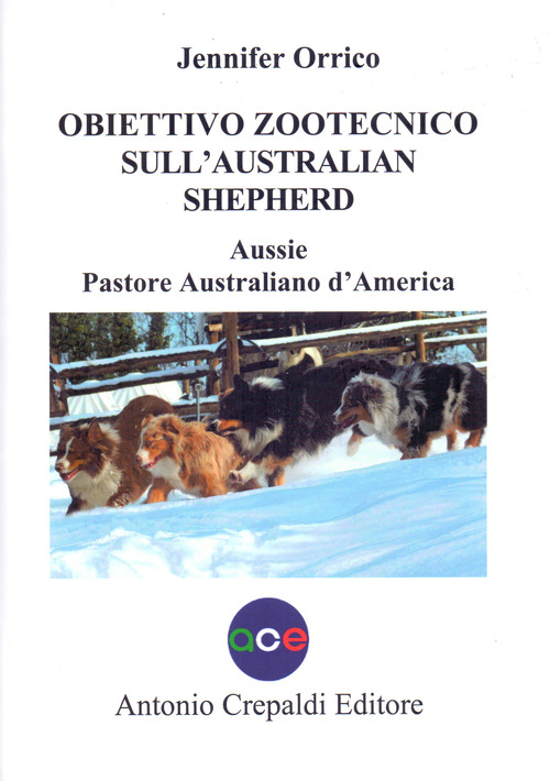 Obiettivo zootecnico sull'Australian Shepherd. Aussie. Pastore australiano d'America