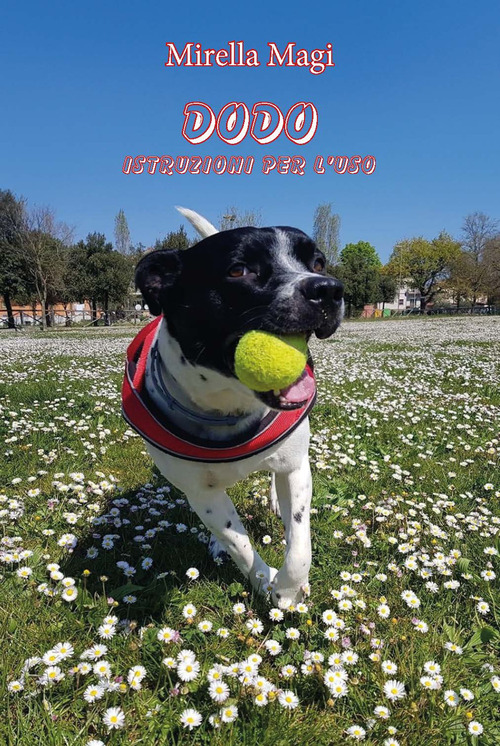 Dodo. Istruzioni per l'uso