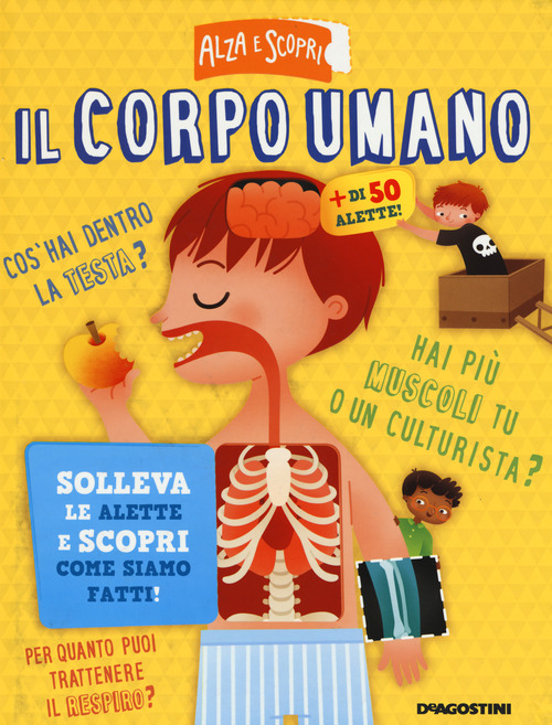 Il corpo umano