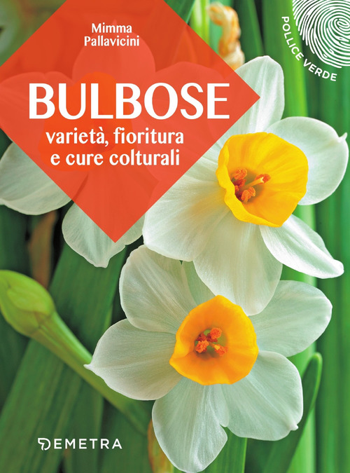Bulbose. Varietà, fioritura e cure colturali