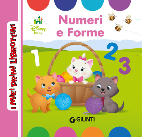 Numeri e forme
