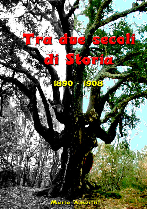 Tra due secoli di storia. 1890-1908