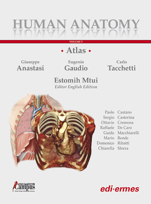 Human anatomy. Atlas