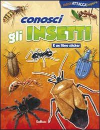 Conosci gli insetti