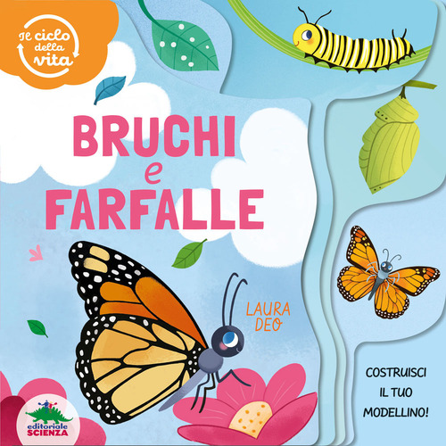Bruchi e farfalle. Il ciclo della vita