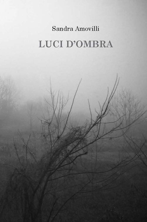 Luci d'ombra