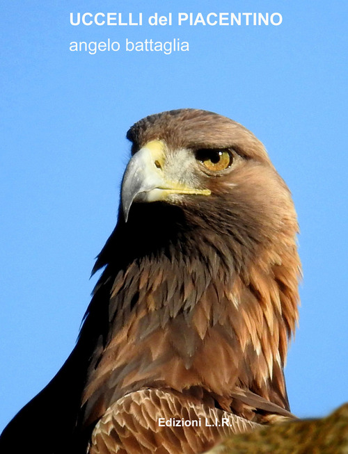 Uccelli del piacentino