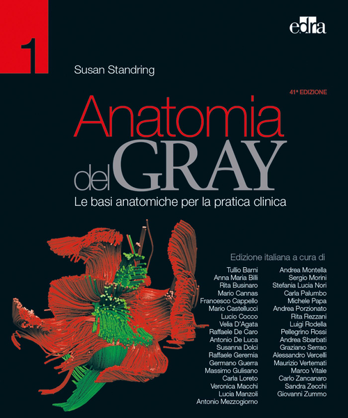 Anatomia del Gray. Le basi anatomiche per la pratica clinica