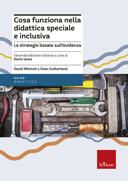 Cosa funziona nella didattica speciale e inclusiva. Le strategie basate sull'evidenza