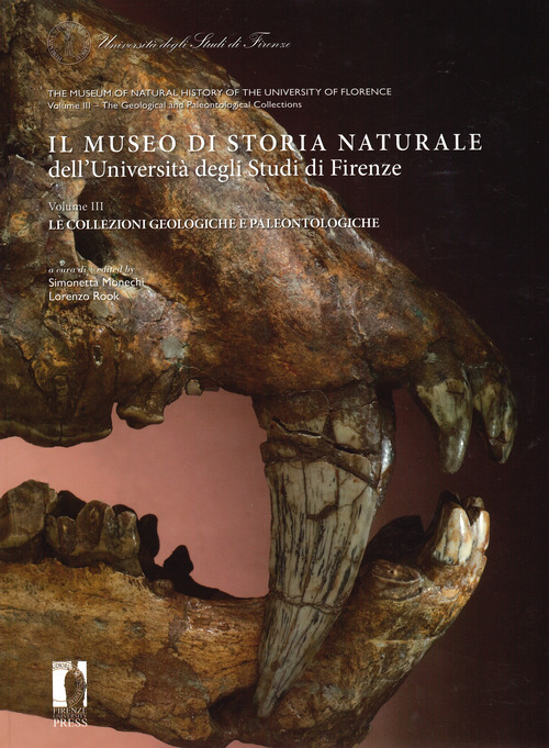 Il Museo di storia naturale dell'Università degli studi di Firenze. Le collezioni geologiche e paleontologiche. Ediz. italiana e inglese