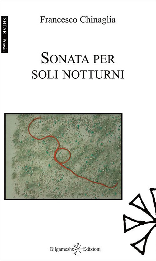 Sonata per soli notturni