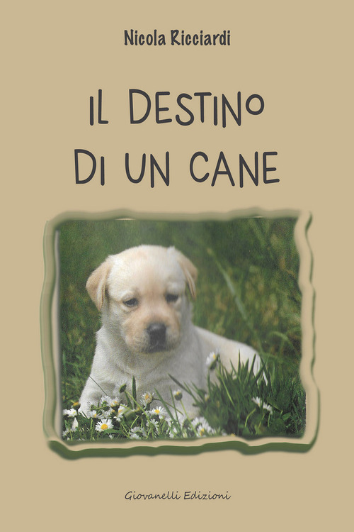 Il destino di un cane