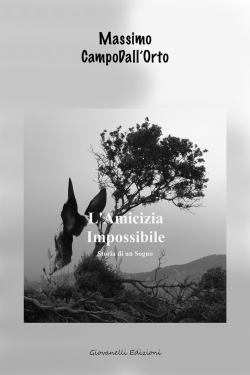 L'amicizia impossibile. Storia di un sogno