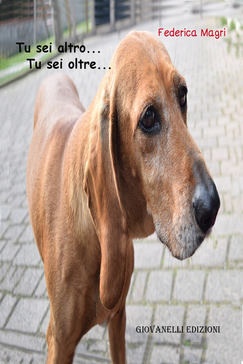 Tu sei altro... Tu sei oltre...