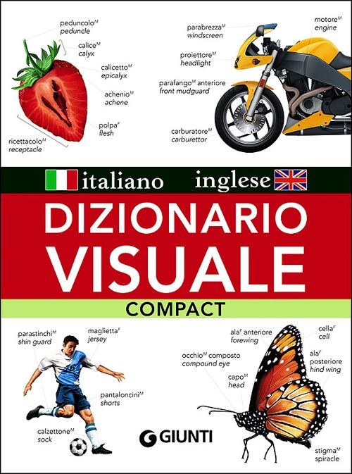 Dizionario visuale compact. Italiano-inglese