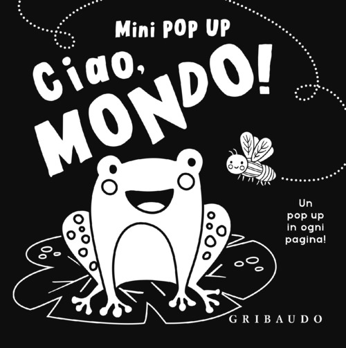 Ciao, mondo! Mini pop up