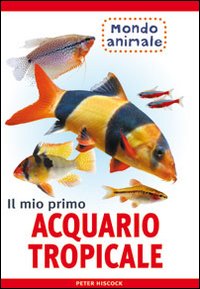Il mio primo acquario tropicale