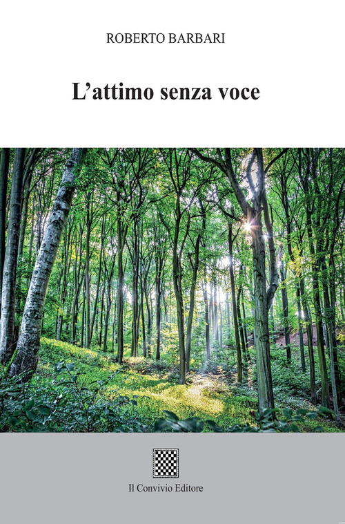 L'attimo senza voce