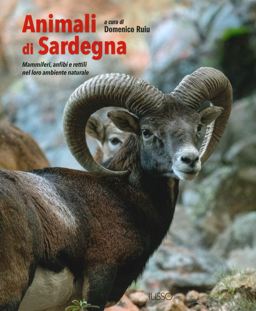 Animali di Sardegna. Mammiferi, anfibi e rettili nel loro ambiente naturale