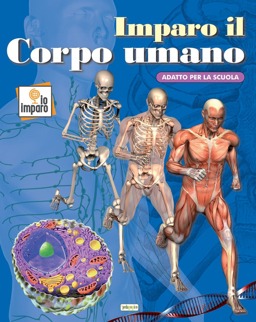 Imparo il corpo umano