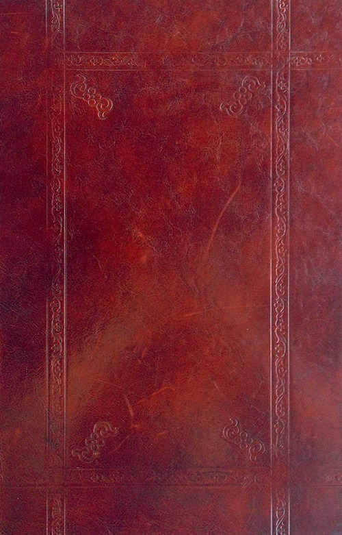 La Divina Commedia marciana