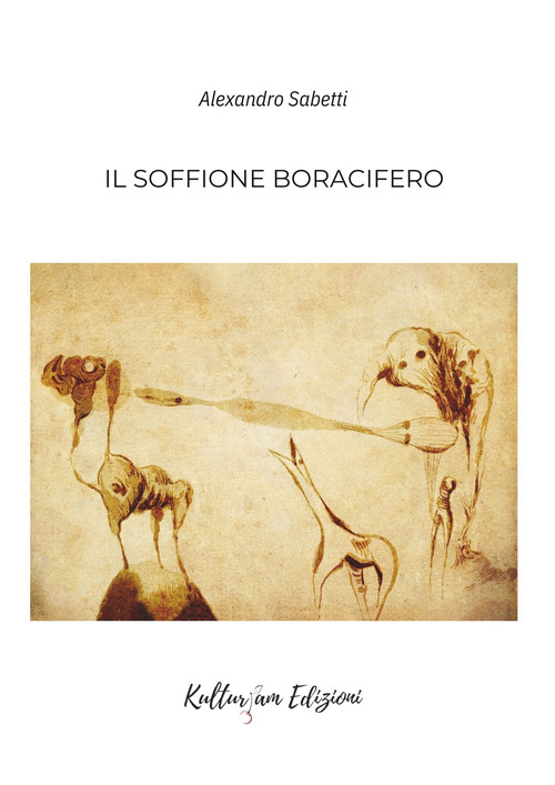 Il soffione boracifero