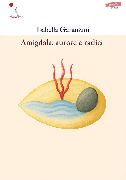 Amigdala, aurore e radici