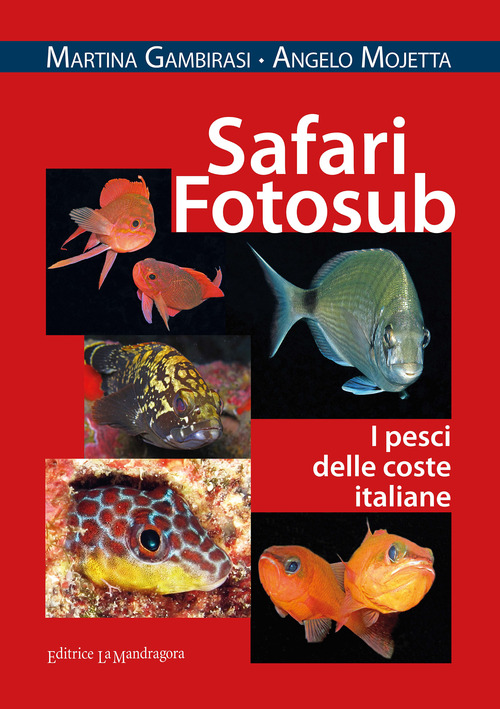 Safari fotosub. I pesci delle coste italiane