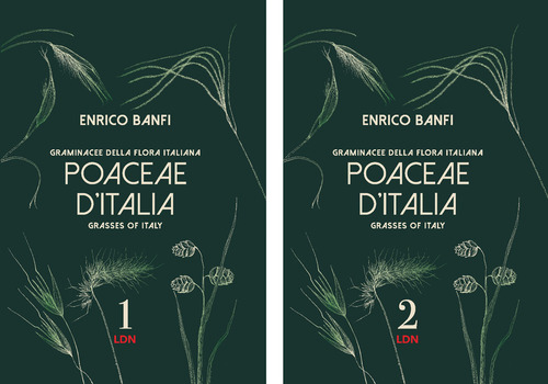 Poaceae d'Italia. Graminacee della flora italiana-Grasses of Italy