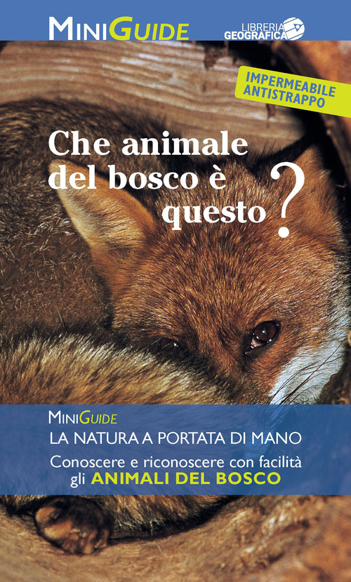 Animali del bosco