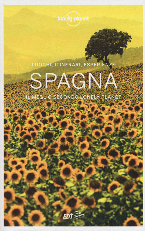 Spagna. Luoghi, itinerari, esperienze. Il meglio secondo Lonely Planet