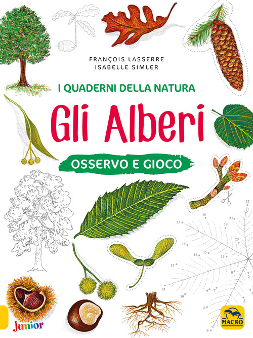 Gli alberi. Osservo e gioco