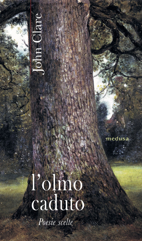 L'olmo caduto. Poesie scelte