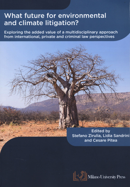 What future for environmental and climate litigation? Exploring the added value of a multidisciplinary approach from international, private and criminal law perspectives